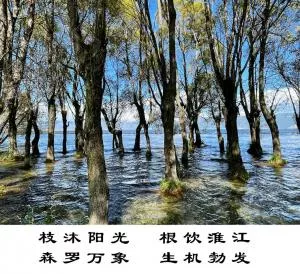 生機勃發